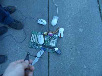 user posted image